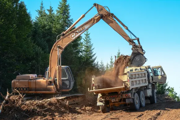 Lupin Kazino Pagalba